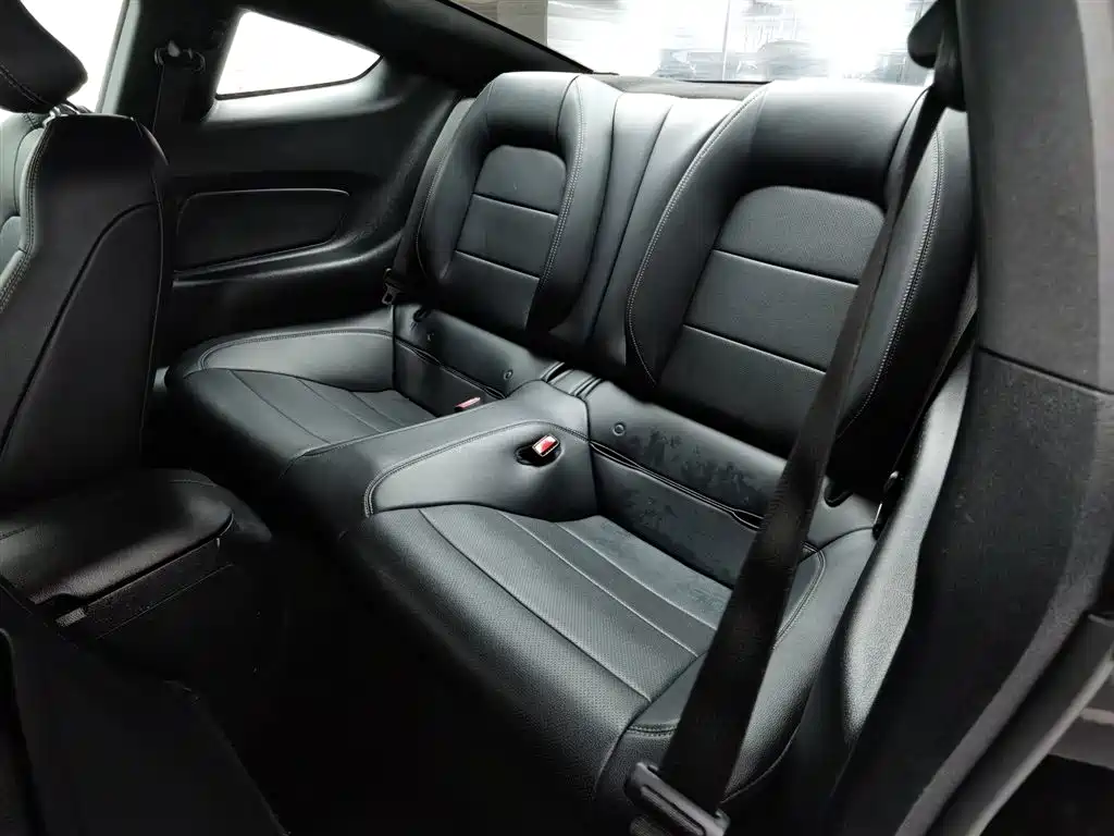 Ford Mustang 2015 2.3T Performance Edition фото 15