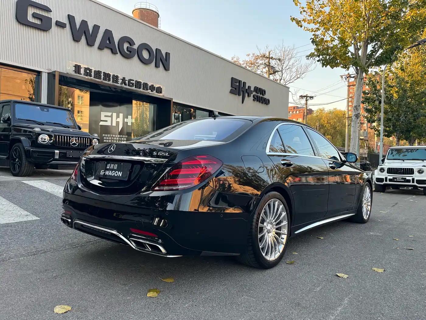 Mercedes-Benz S-Class AMG 2018 AMG S 65 L фото 3