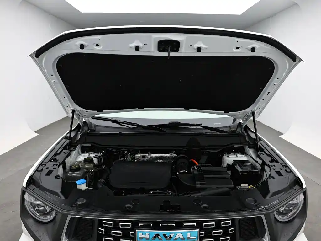Haval Second-Generation Big Dog New Energy 2023 2023 DHT-PHEV 105km Trendy Electric Edition Plus