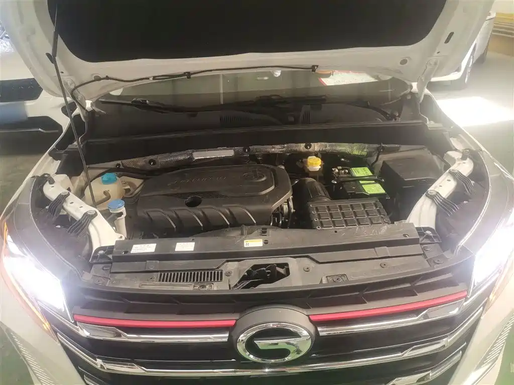 GAC Trumpchi Trumpchi GS3 2022 POWER 270T Auto Premium Edition фото 16