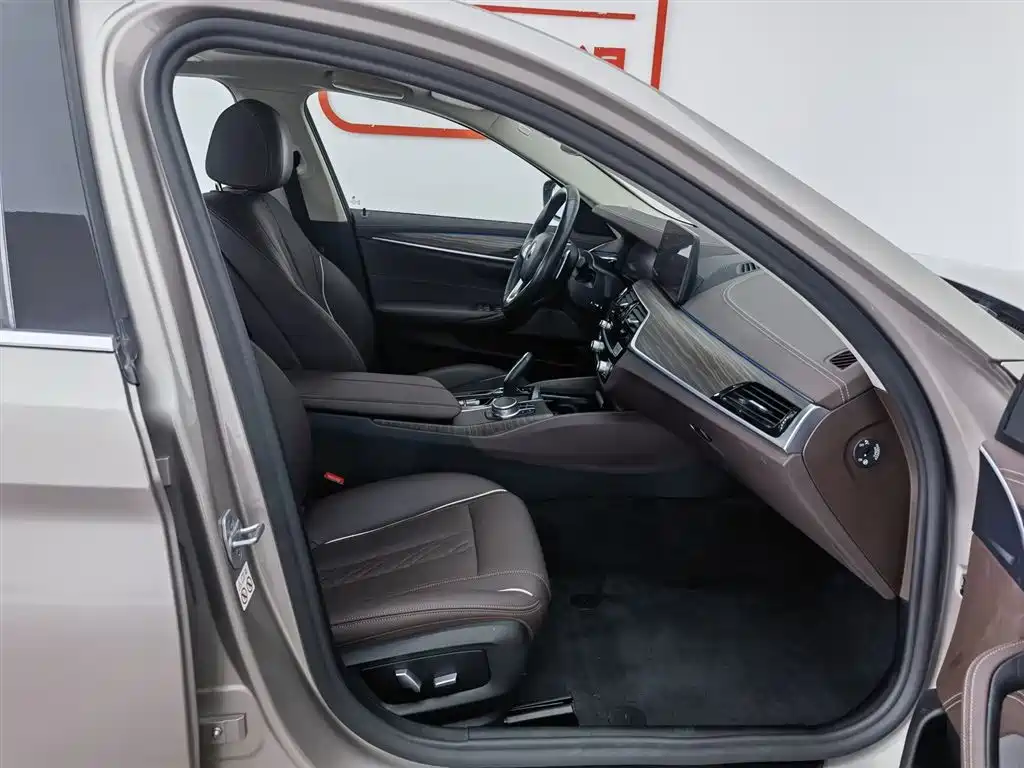 BMW 5 Series 2021 530Li Leading Luxury Package фото 23