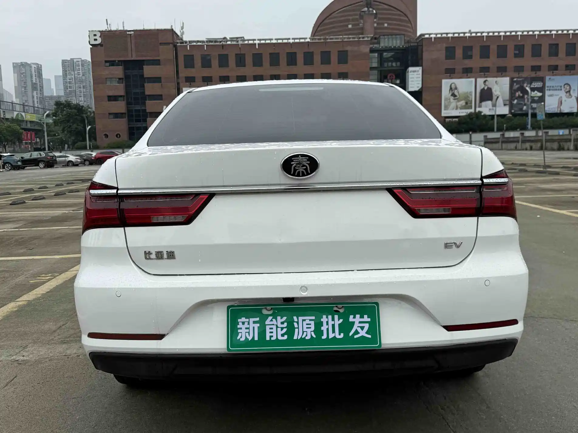 Фото 4 - BYD Qin New Energy