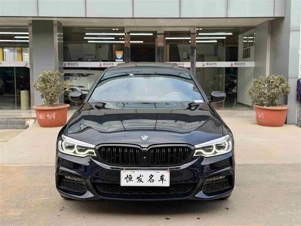 BMW 5 Series 2019 530Li Premium M Sport Package фото 5