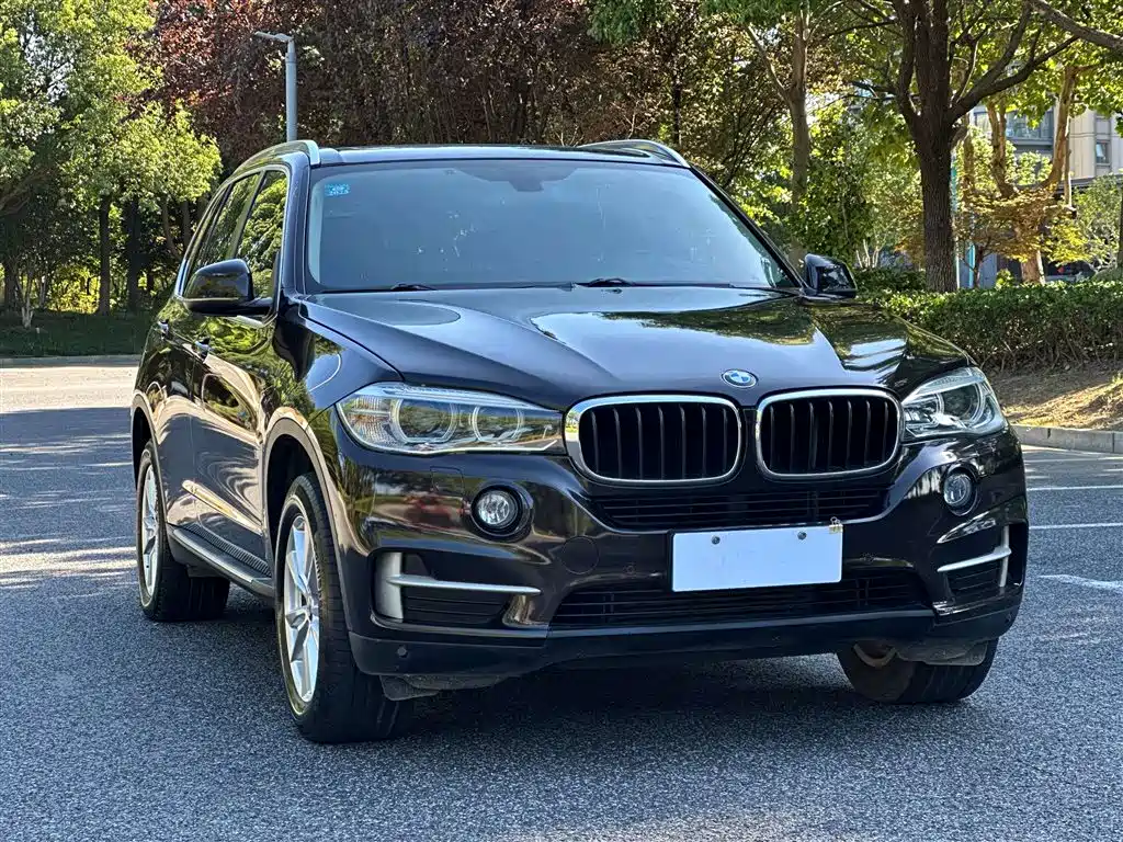 BMW X5 (Import) 2014 xDrive35i Leading фото 2