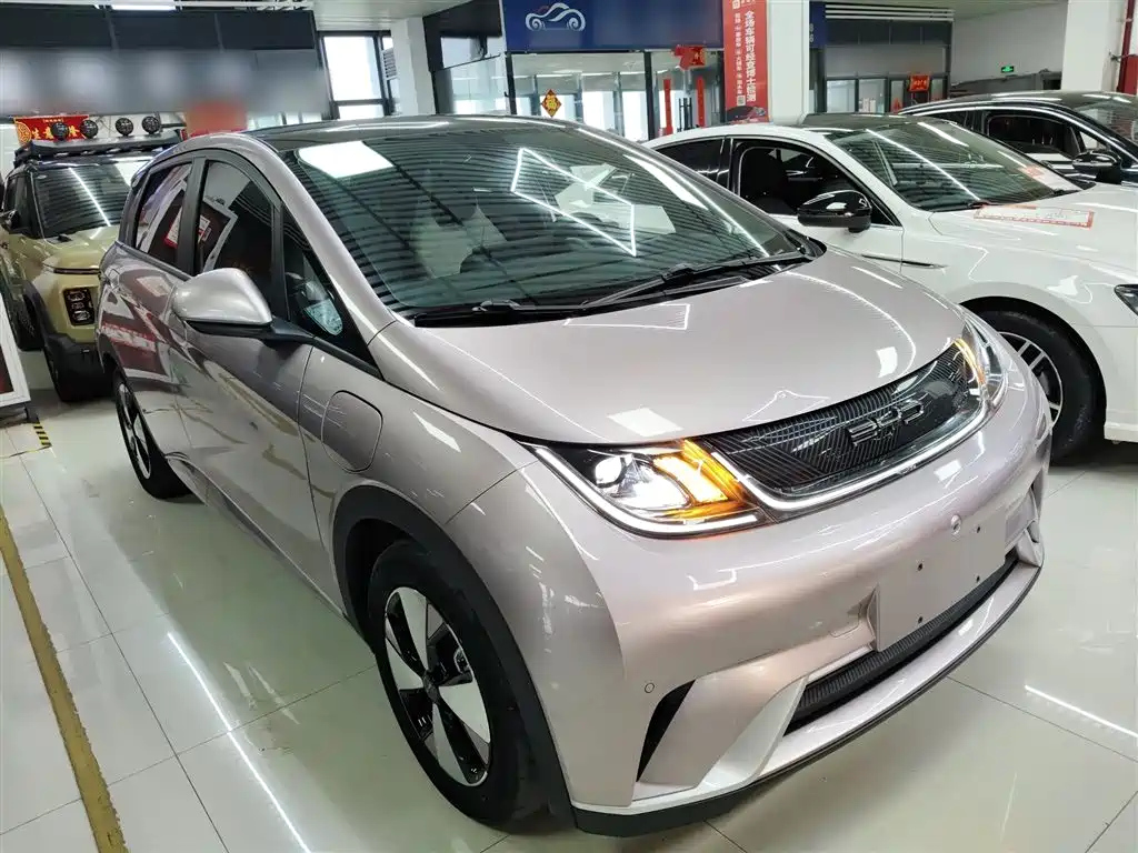BYD Dolphin 2023 420km Fashion Edition фото 4