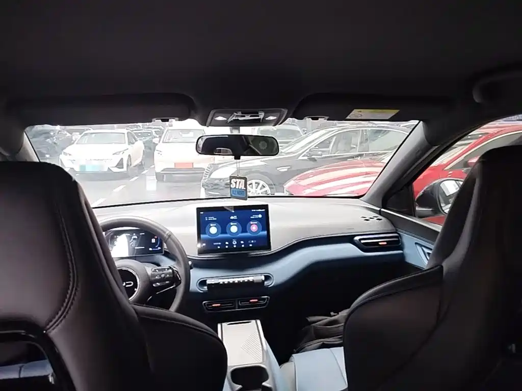 BYD Seagull 2024 Glory Edition 305km Vitality Edition фото 18