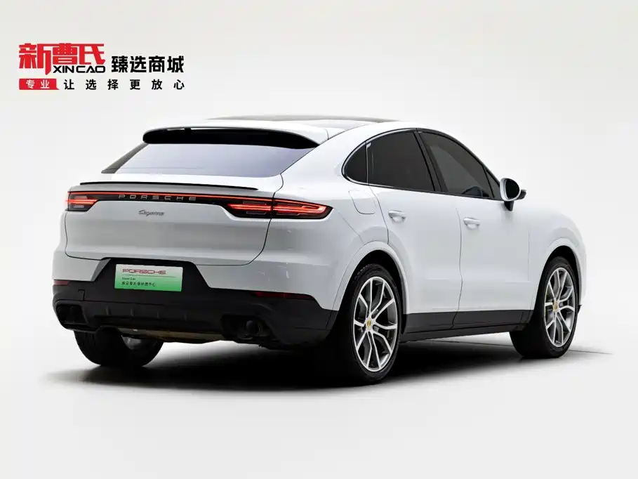 Фото 3 - Porsche Cayenne New Energy