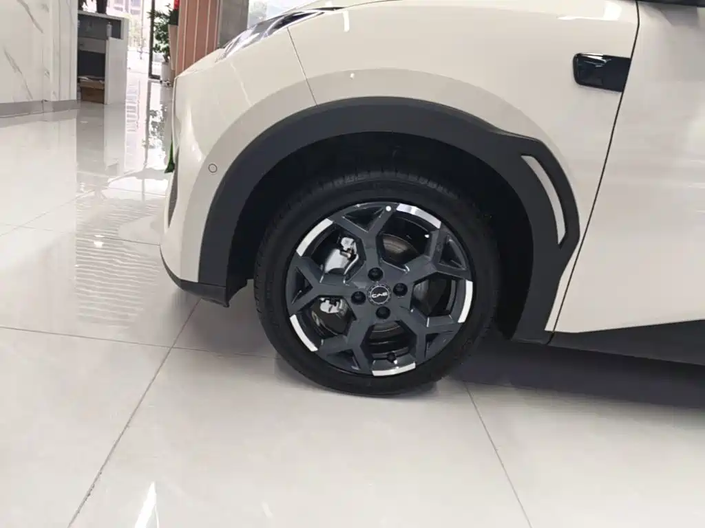 BYD Seagull 2026 2025 Smart Drive Edition 305km Freedom Version