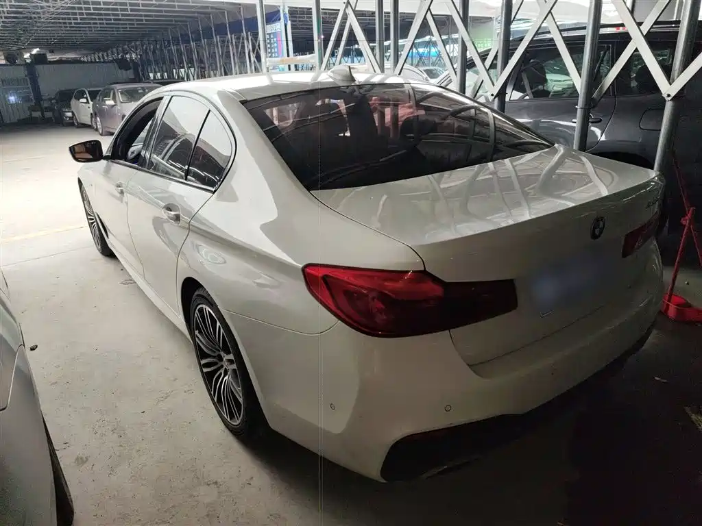BMW 5 Series (Import) 2019 530i M Sport Package фото 5