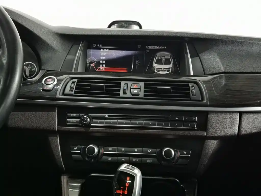 BMW 5 Series 2014 525Li Luxury Design Package фото 12