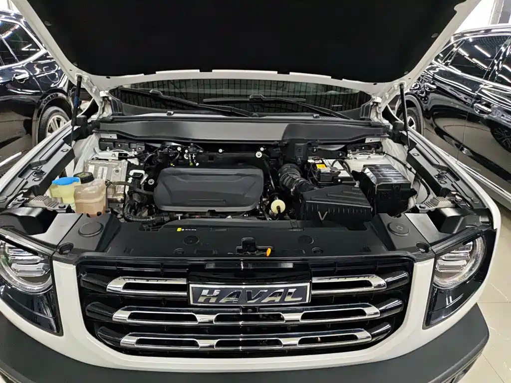 Haval Big Dog 2022 1.5T DCT FWD Border Collie Edition фото 20