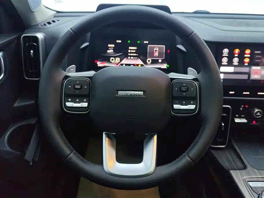 Haval Big Dog 2021 1.5T DCT 2WD Border Collie Edition фото 15