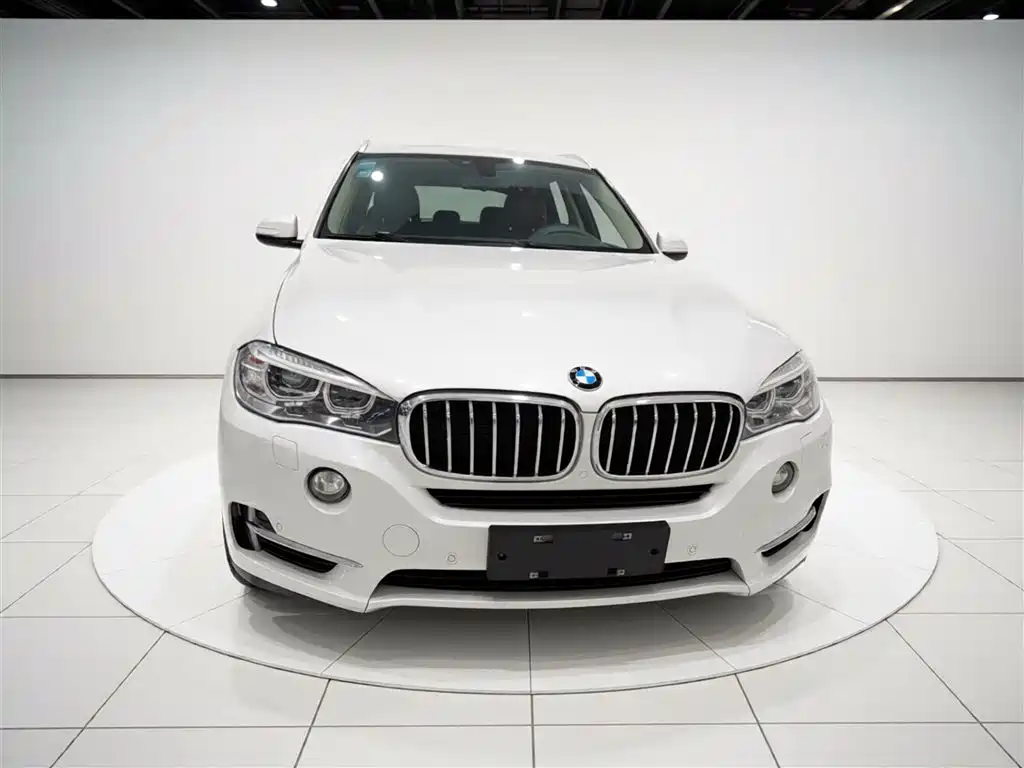 BMW X5 (Import) 2017 xDrive28i фото 3