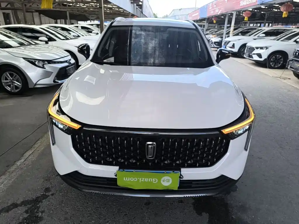 Besturn Bestune T55 2024 2023 1.5T Auto Flying Leap