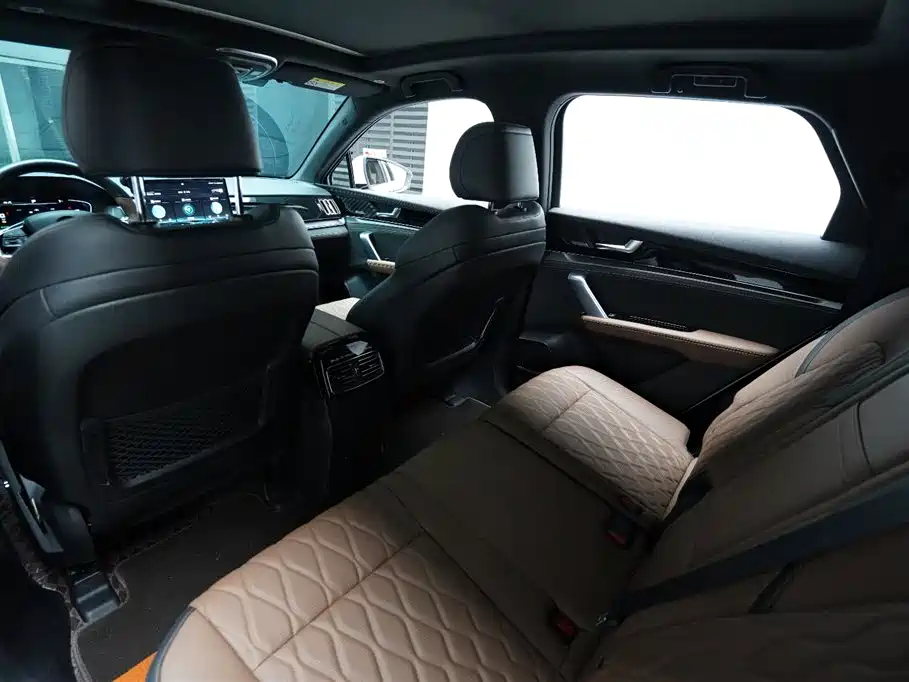 BYD Tang New Energy 2021 DM-i 112KM Premium фото 12