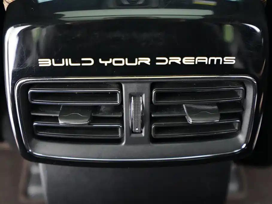 BYD Tang New Energy 2021 DM-i 112KM Premium фото 15