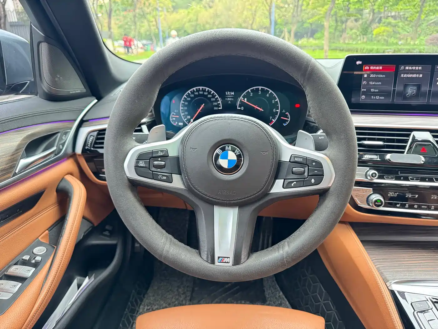 BMW 5 Series (Import) 2019 Facelift 530i M Sport Package фото 21