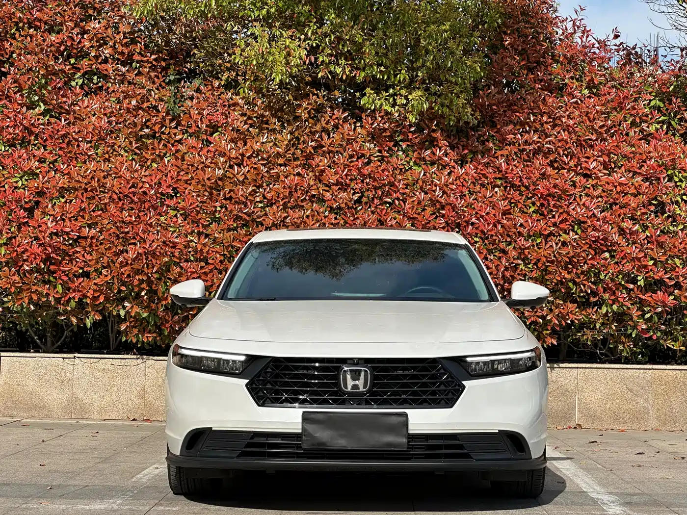 Honda Accord 2025 2025 260TURBO Luxury Edition