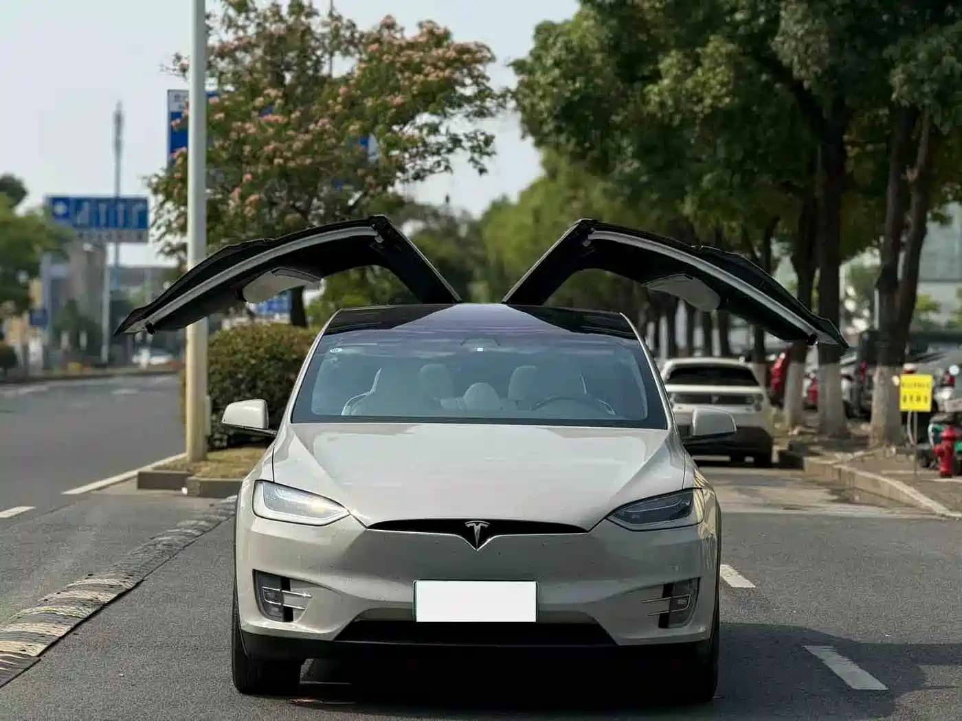TESLA MODEL X