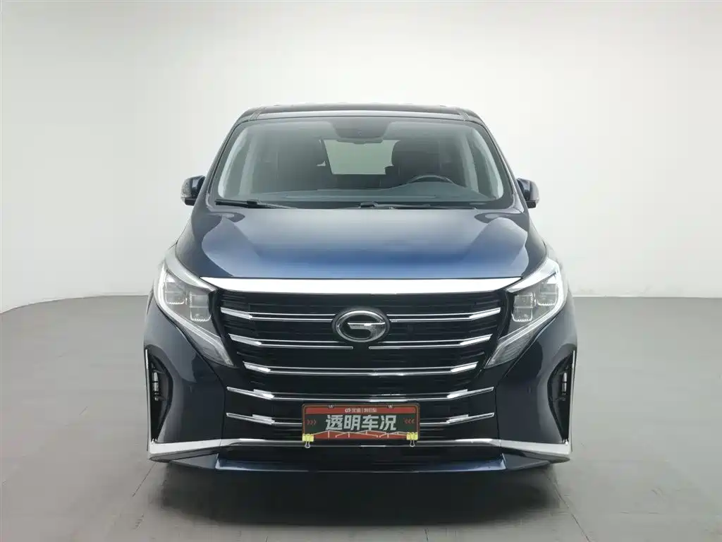 GAC Trumpchi Trumpchi M8 2021 Leading Show Series 390T Prestige Edition фото 3