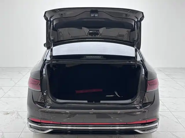 Volkswagen Sagitar 2024 300TSI DSG Surpass Edition фото 19