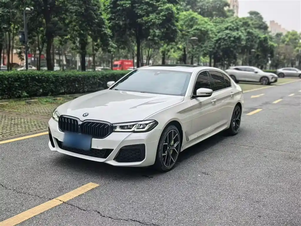 BMW 5 Series 2021 530Li Leading M Sport Package