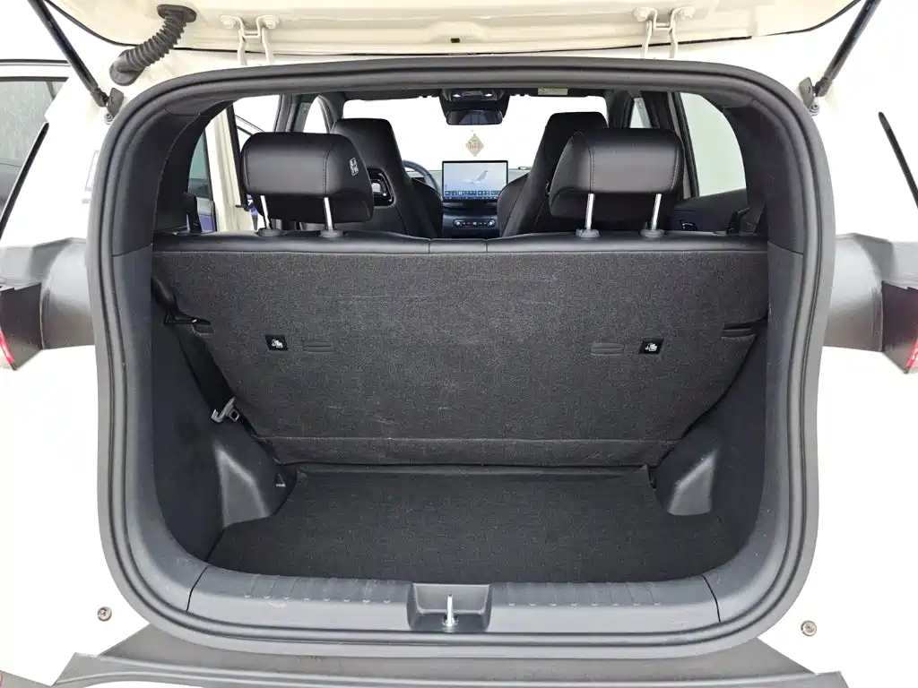 BYD Seagull 2026 2025 Smart Drive Edition 305km Freedom Version