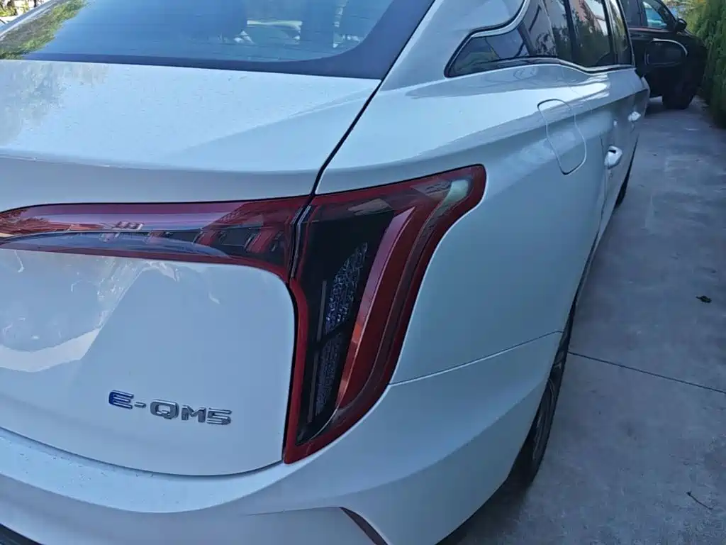 Фото 8 - Hongqi E-QM5