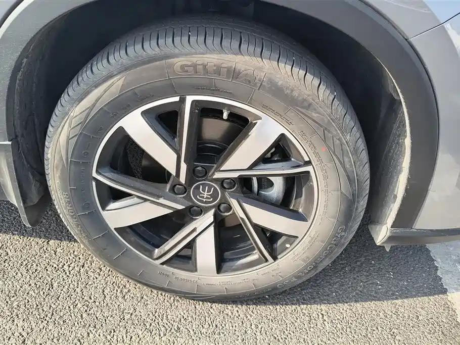 BYD SONGJIANG NEW ENERGY