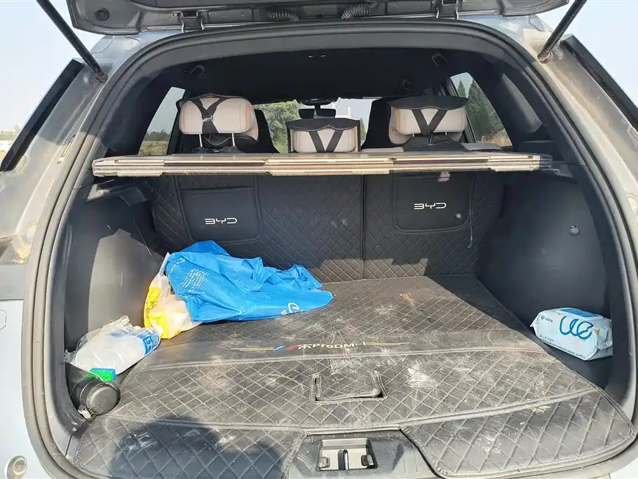 BYD SONGJIANG NEW ENERGY