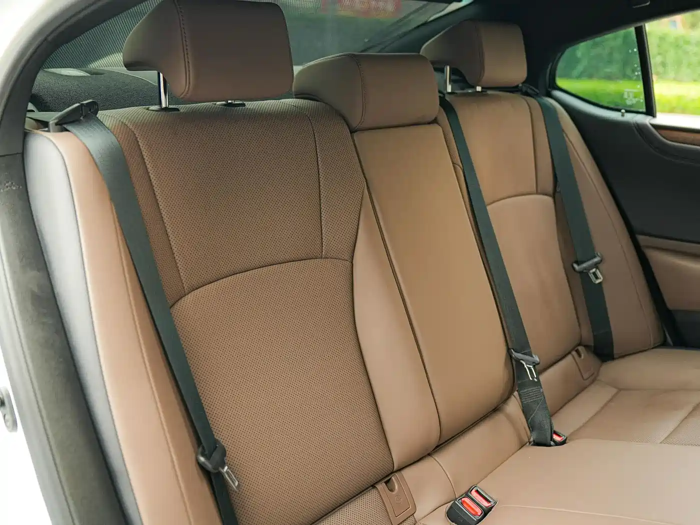 Lexus ES 2024 200 Premium Edition фото 15