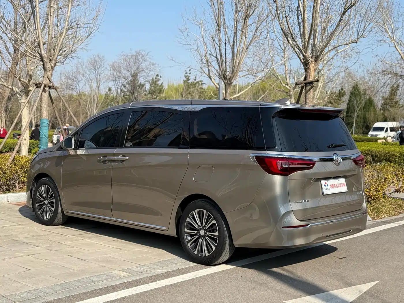 Buick GL8 2023 ES Landmaster Luxury фото 22