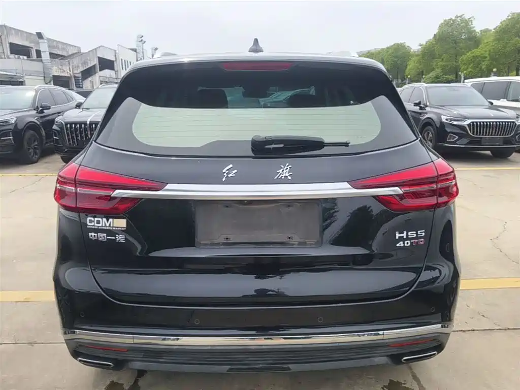 Hongqi HS5 2022 Facelift 2.0T Smart Flag Enjoyment Edition фото 6