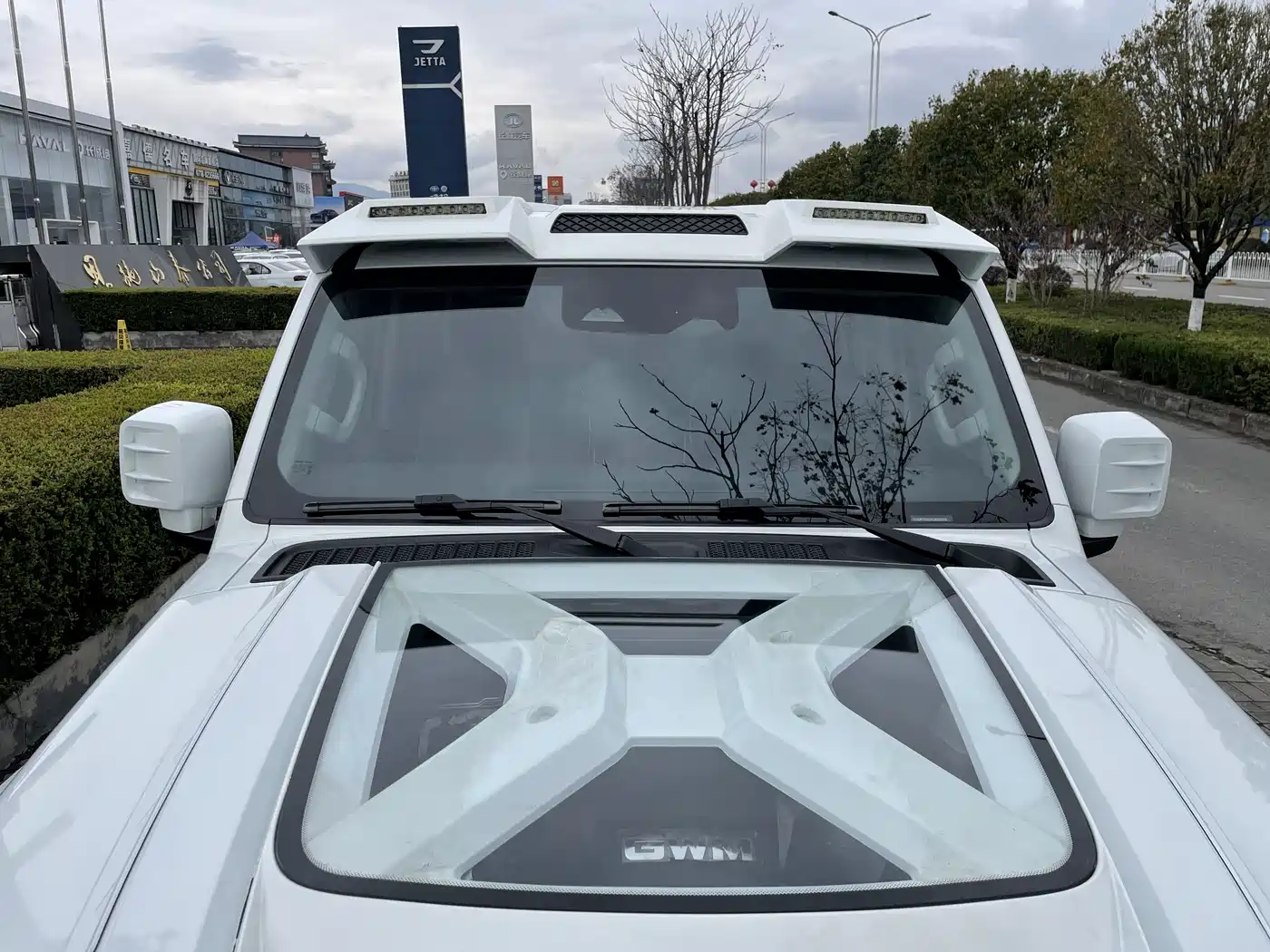 Tank 300 2024 2.0T Explorer фото 10