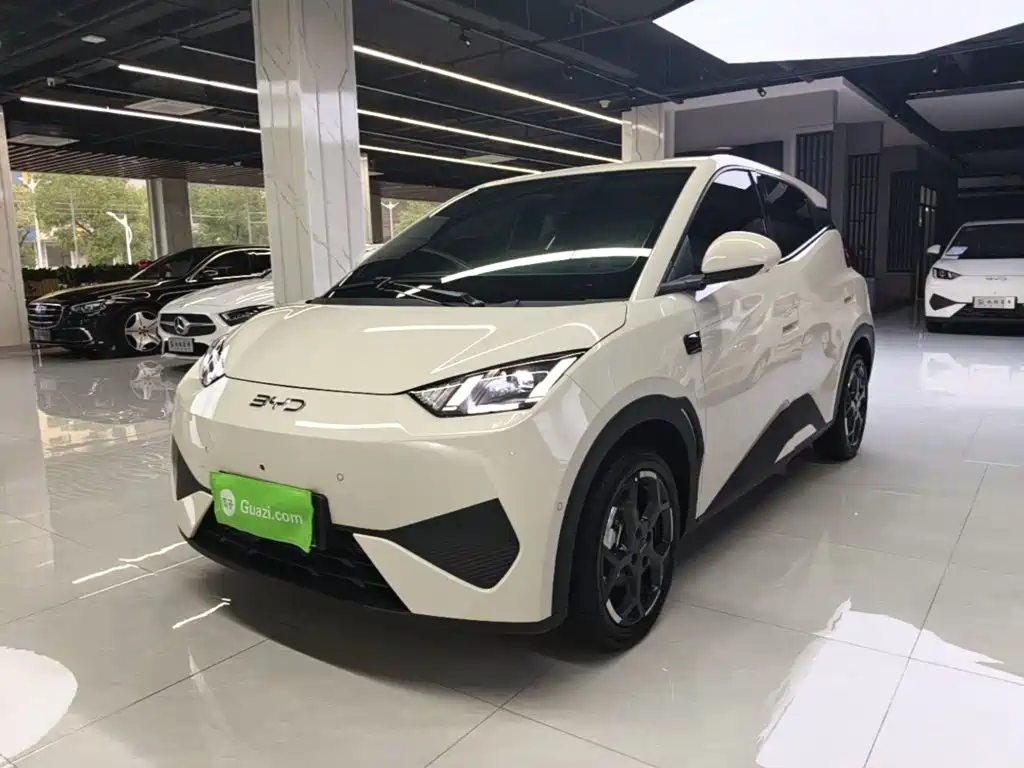 2026 BYD Seagull