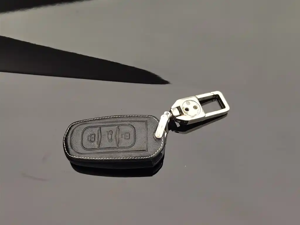 GEELY AUTOMOBILE VISION X6