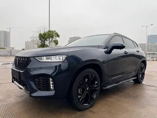 WEI PAI WEI BRAND VV7