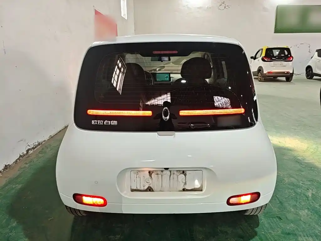 Ora White Cat 2021 2020 305km Luxury