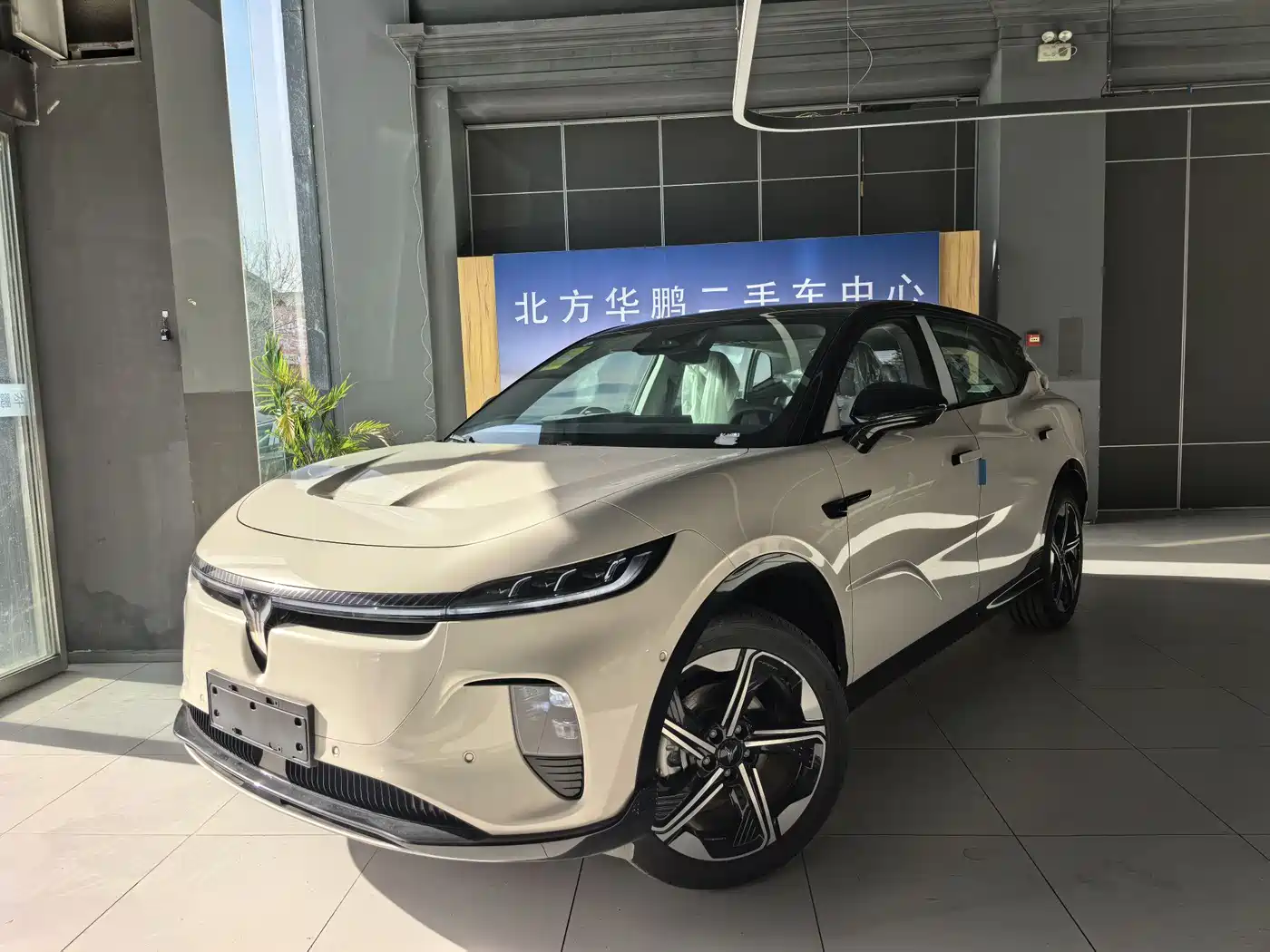Voyah Auto Voyah Zhiyin 2024 Long Range Smart Edition