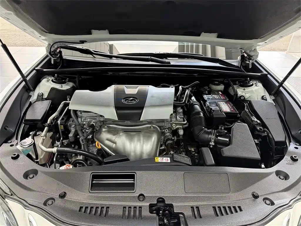 Lexus ES 2018 200 Excellence Edition China V фото 8