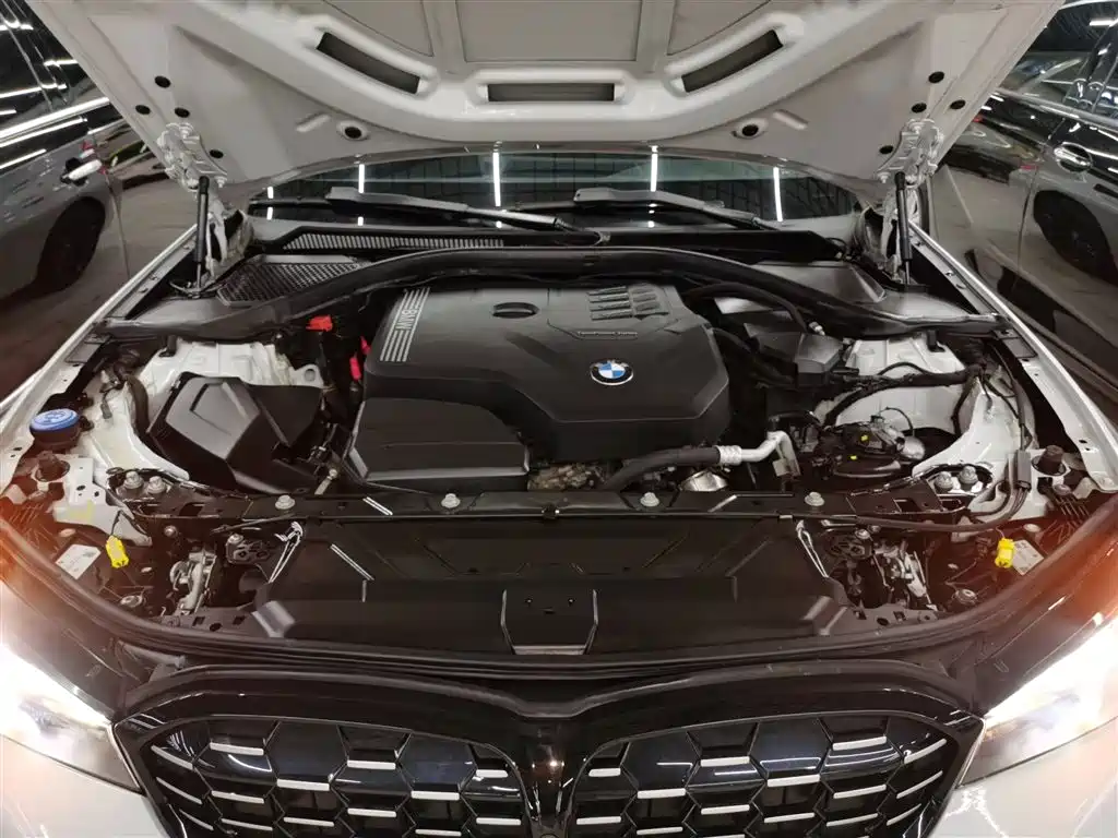 BMW 3 Series 2023 325Li M Sport Black Night Package фото 16