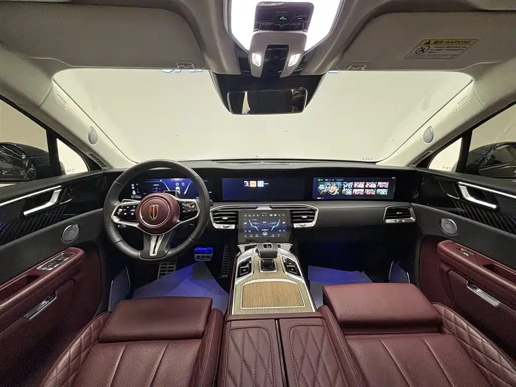 Hongqi E-HS9 2022 660km Qi Ling Edition (4-seater) фото 10