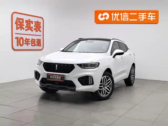 WEI PAI WEI BRAND VV5