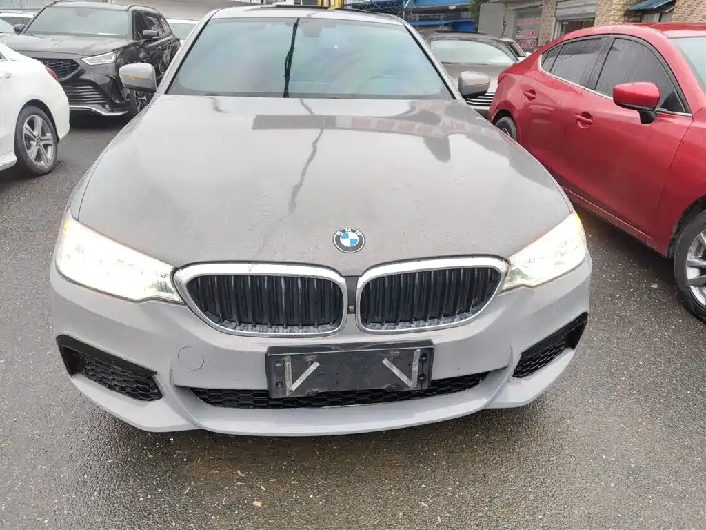 BMW 5 Series 2020 530Li Exclusive M Sport Package фото 3