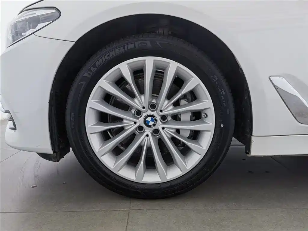 BMW 5 Series 2020 530Li Leading Luxury Package фото 17