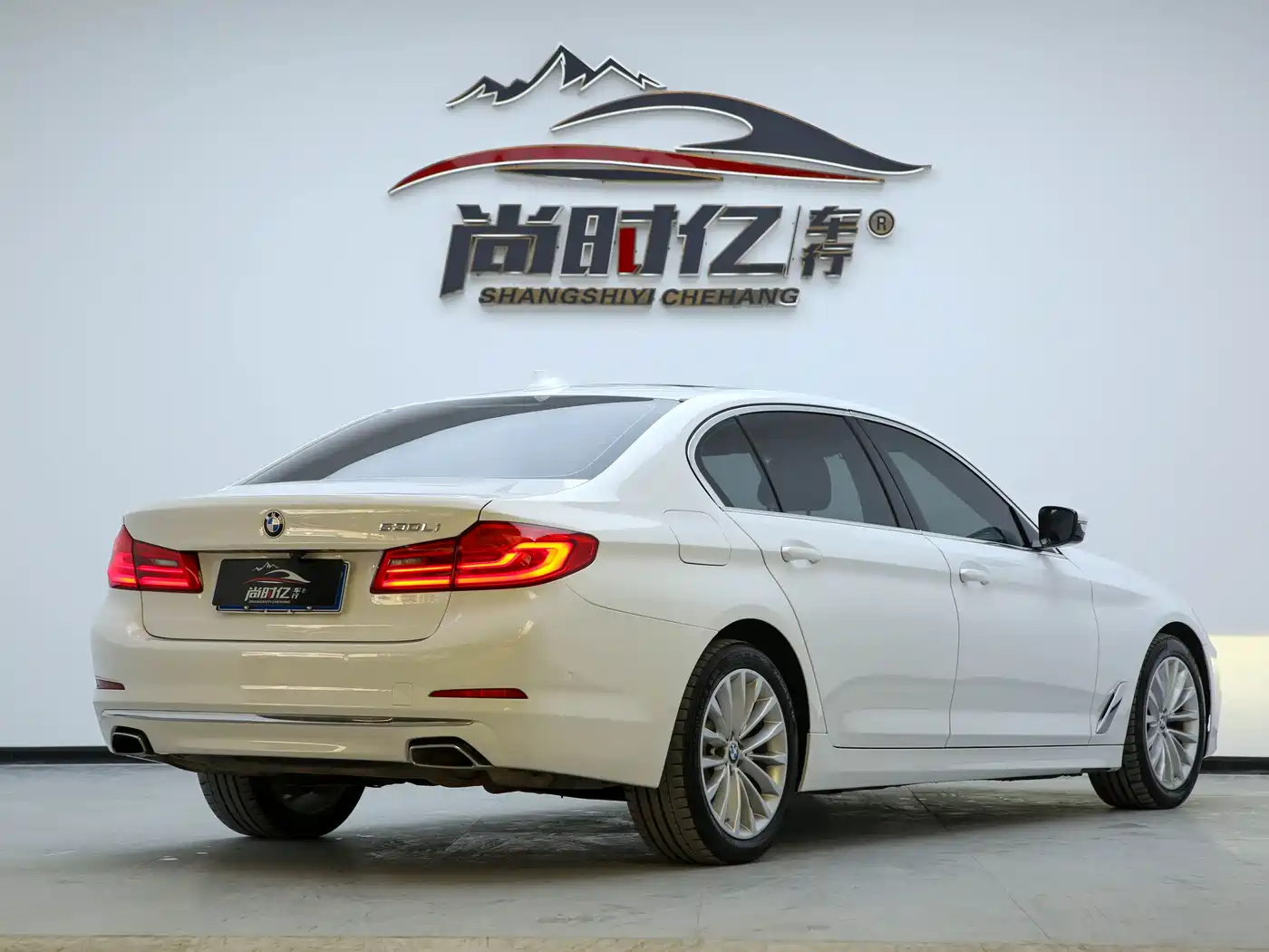 BMW 5 Series 2020 530Li Leading Luxury Package фото 8