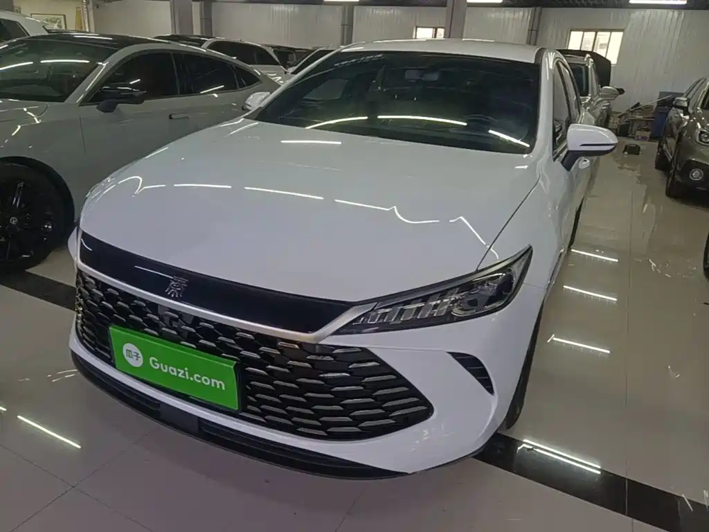 BYD Qin PLUS 2025 DM-i Smart Drive 55KM Leader
