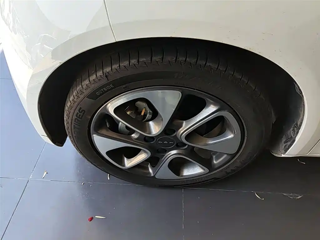 Ora White Cat 2021 2020 305km Luxury
