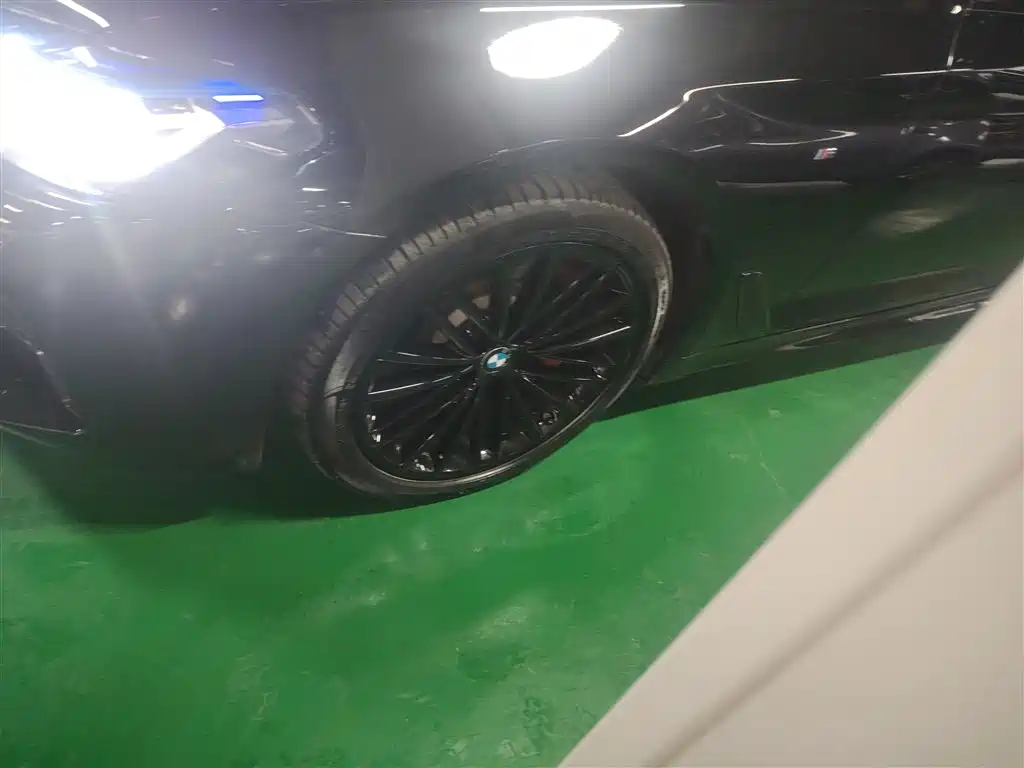 BMW 5 Series 2020 530Li Exclusive M Sport Package фото 25