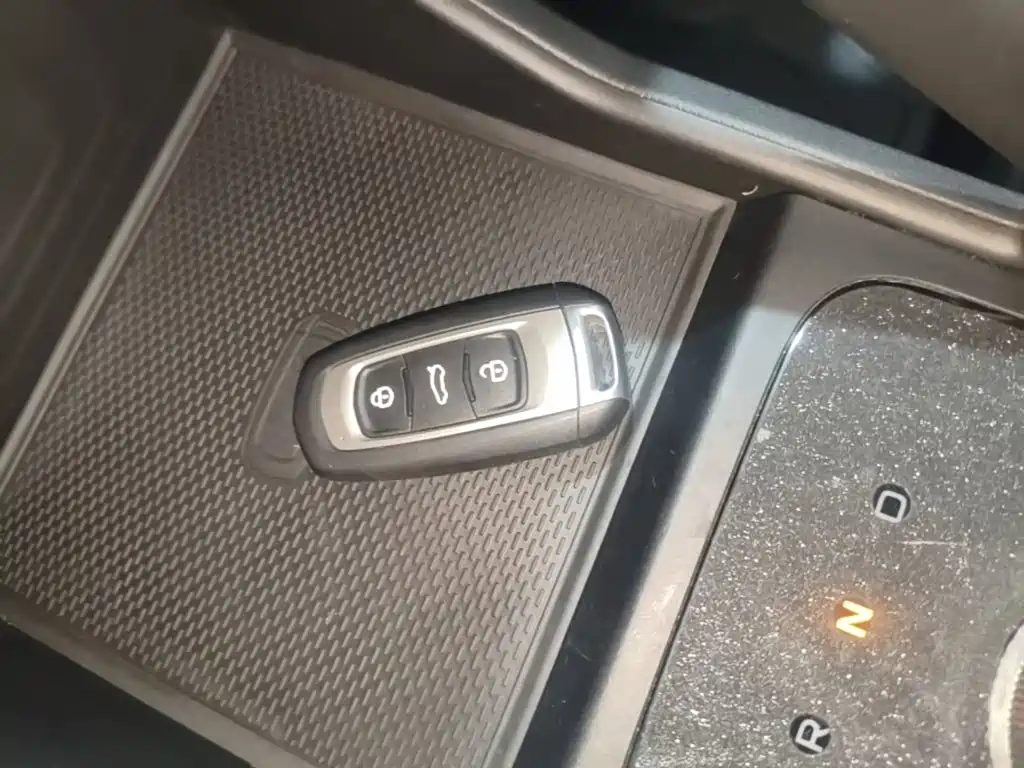 Geely Geometry EX3 Kung Fu Bull 2022 2021 Strong Bull